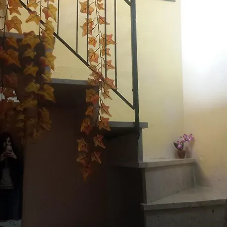 Zia Ciccia