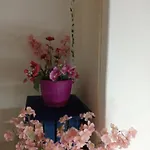 Zia Ciccia Holiday home Marsala