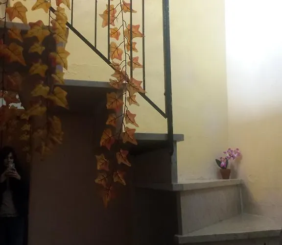 Zia Ciccia